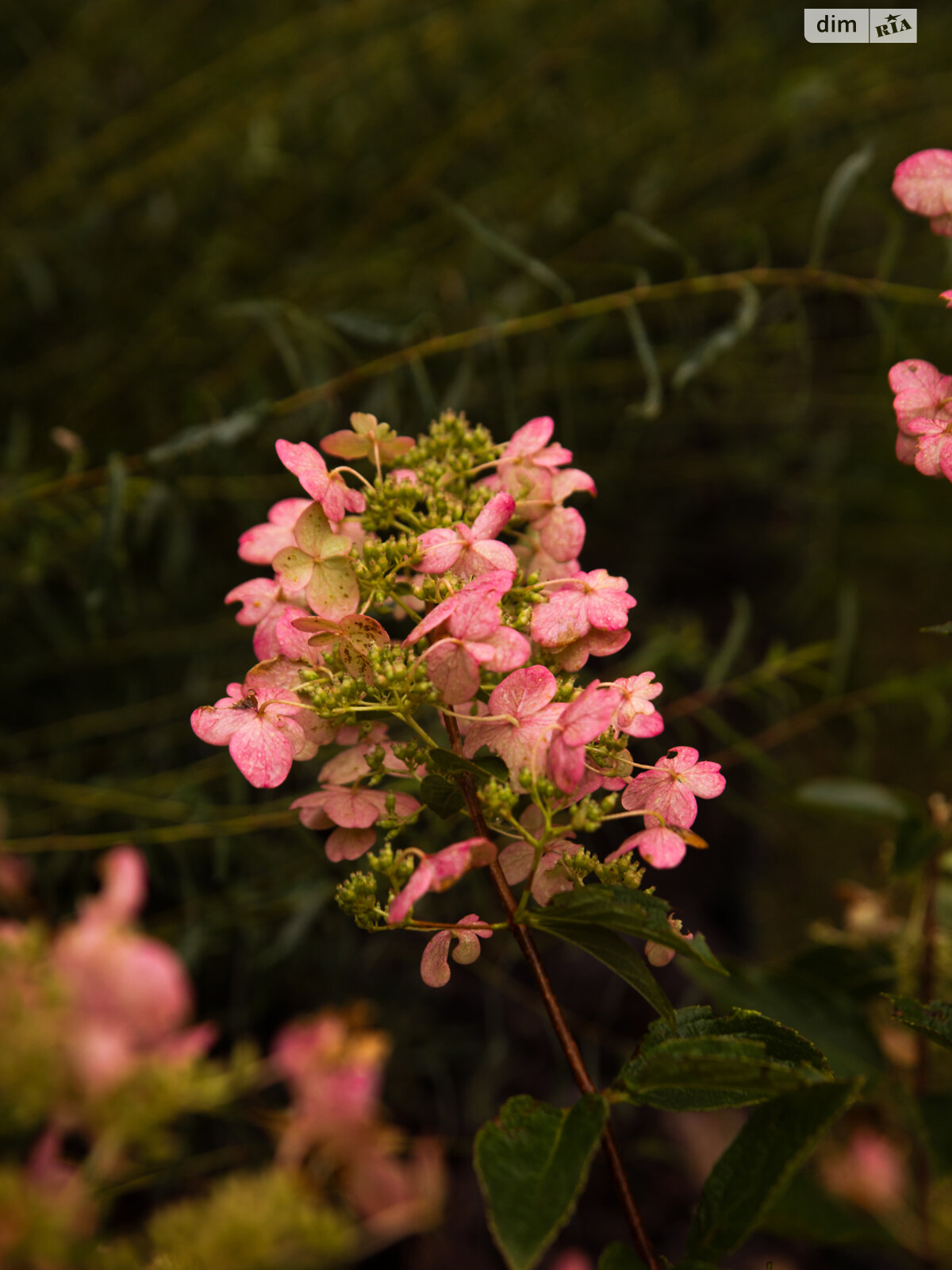 Продаж двокімнатної квартири в Ірпені, на вул. Ольги Кобилянської 1В/15, кв. 48, район Ірпінь фото 1 Продаж двокімнатної квартири в Ірпені, на вул. Ольги Кобилянської 1В/15, кв. 48, район Ірпінь фото 1