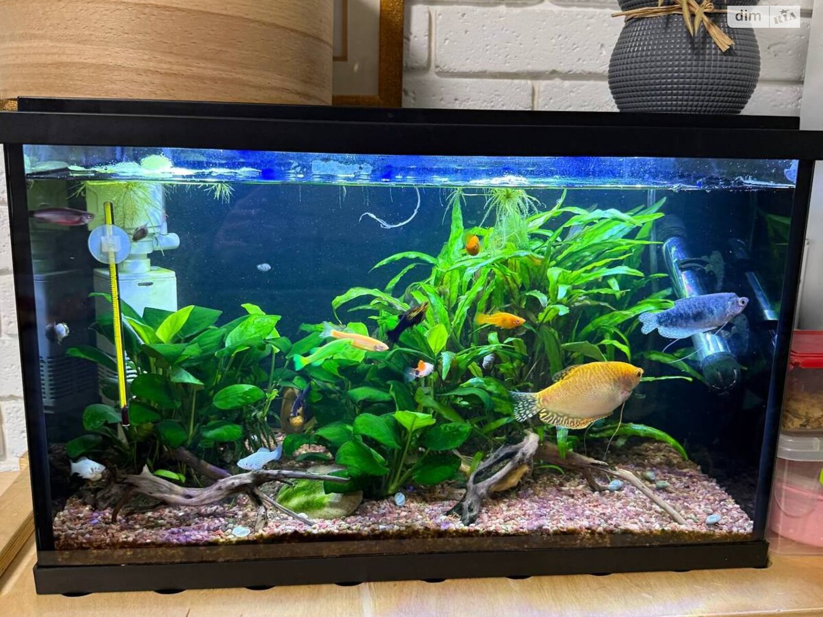 Продаж двокімнатної квартири в Ірпені, на вул. Джерельна, район Ірпінь фото 1 Продаж двокімнатної квартири в Ірпені, на вул. Джерельна, район Ірпінь фото 1