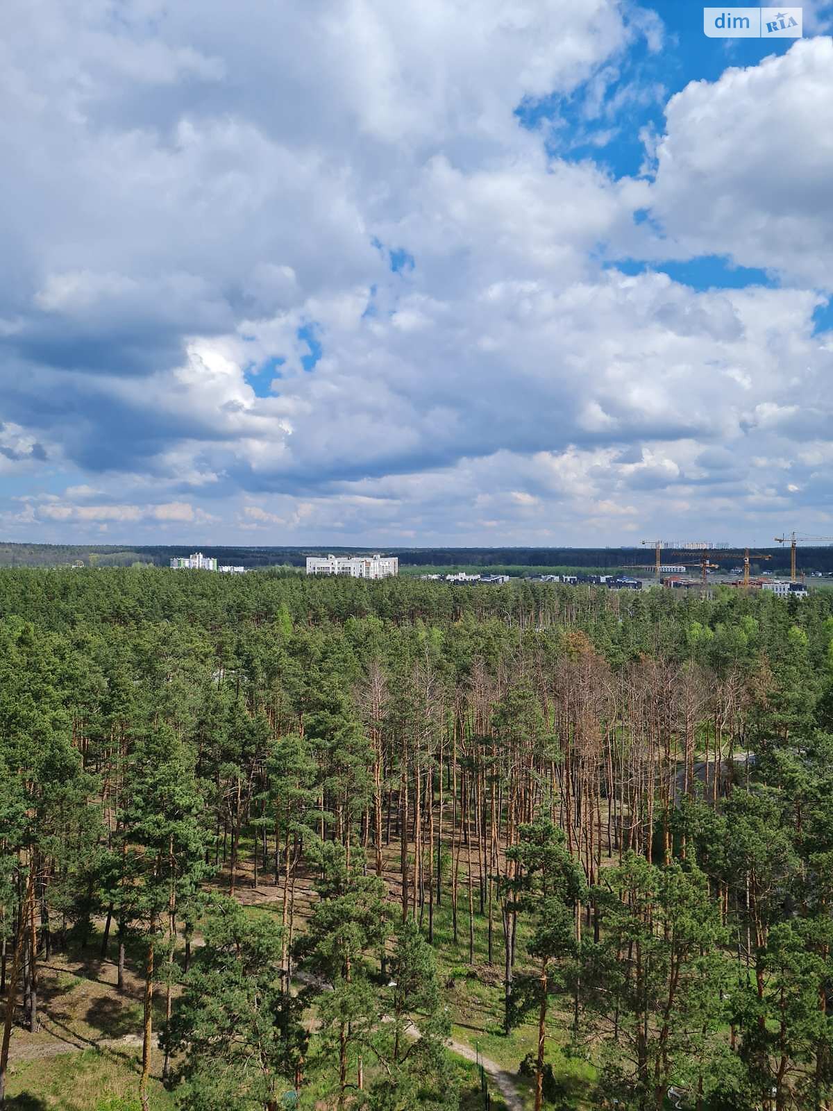 Продаж однокімнатної квартири в Ірпені, на вул. Університетська 1Б, район Ірпінь фото 1 Продаж однокімнатної квартири в Ірпені, на вул. Університетська 1Б, район Ірпінь фото 1
