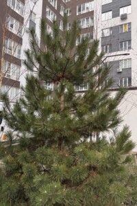 Продажа трехкомнатной квартиры в Ирпене, на ул. Выговского 2Д/2, район Ирпень фото 2