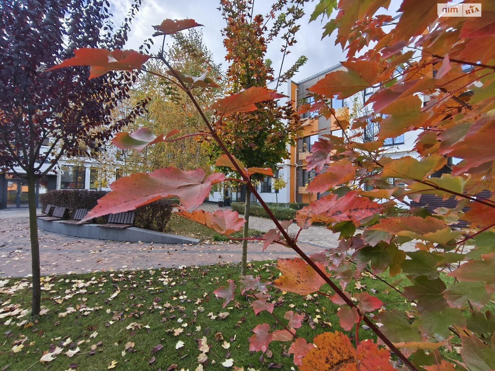 Продажа однокомнатной квартиры в Ирпене, на ул. Наталии Околитенко 81, фото 1