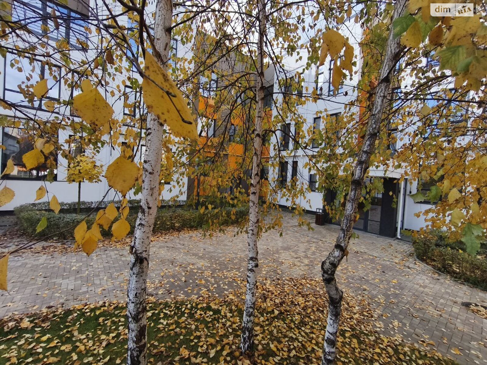 Продажа однокомнатной квартиры в Ирпене, на ул. Наталии Околитенко 81, фото 1