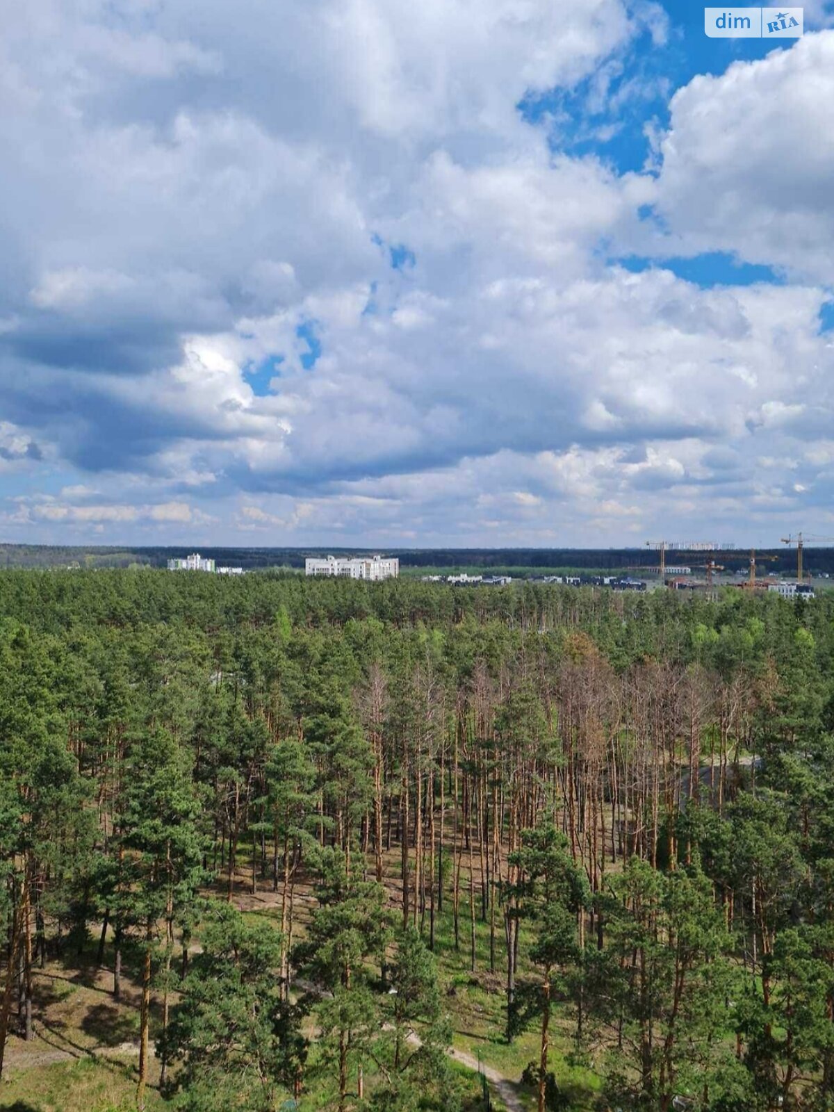 Продажа однокомнатной квартиры в Ирпене, на ул. Университетская, фото 1 Продажа однокомнатной квартиры в Ирпене, на ул. Университетская, фото 1
