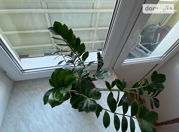 Продажа трехкомнатной квартиры в Житомире, на ул. Победы 99, район Богунский фото 1 Продажа трехкомнатной квартиры в Житомире, на ул. Победы 99, район Богунский фото 1