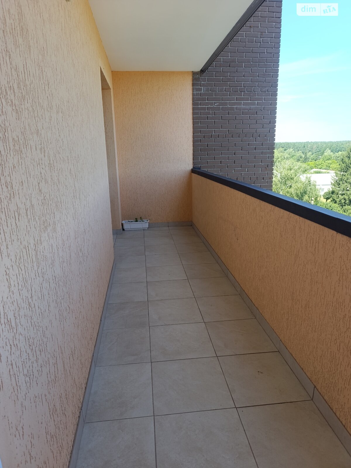 Продажа однокомнатной квартиры в Житомире, на просп. Мира 36, район Соколова Гора фото 1 Продажа однокомнатной квартиры в Житомире, на просп. Мира 36, район Соколова Гора фото 1