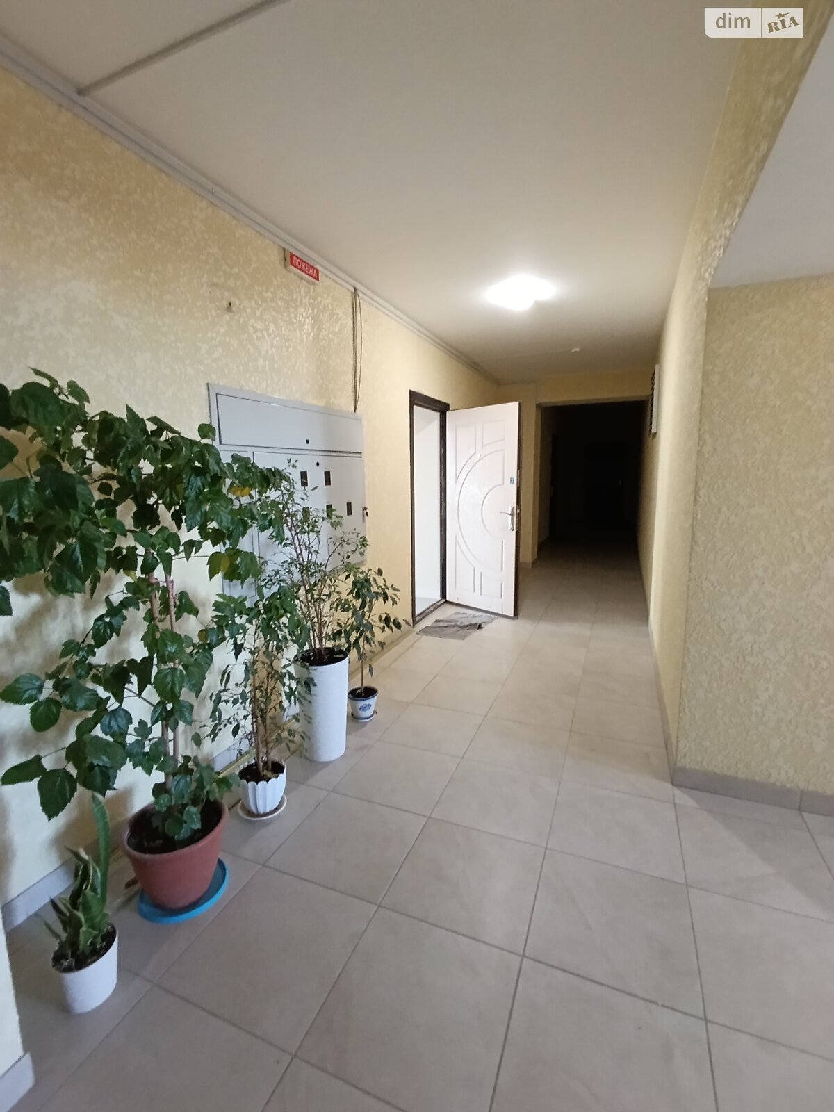 Продажа однокомнатной квартиры в Житомире, на просп. Мира 36, район Соколова Гора фото 1 Продажа однокомнатной квартиры в Житомире, на просп. Мира 36, район Соколова Гора фото 1