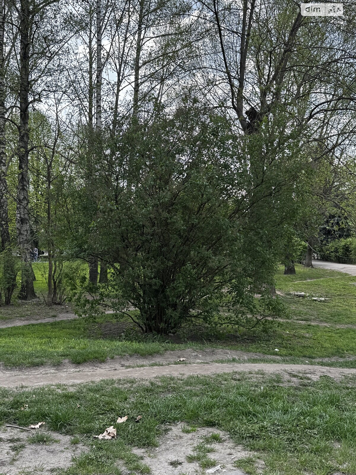 Продажа двухкомнатной квартиры в Житомире, на ул. Победы 32, район Центр фото 1 Продажа двухкомнатной квартиры в Житомире, на ул. Победы 32, район Центр фото 1