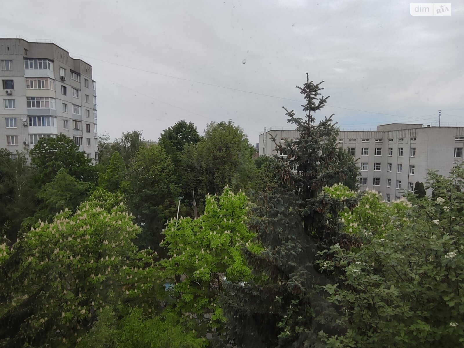 Продажа двухкомнатной квартиры в Житомире, на ул. Святослава Рихтера 2, район Центр фото 1 Продажа двухкомнатной квартиры в Житомире, на ул. Святослава Рихтера 2, район Центр фото 1