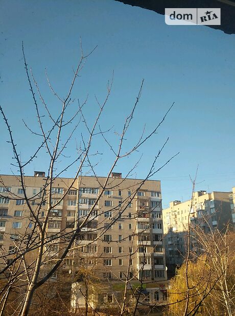 Продажа однокомнатной квартиры в Житомире, на Стахурського 90 район Злата Рудня фото 1 Продажа однокомнатной квартиры в Житомире, на Стахурського 90 район Злата Рудня фото 1