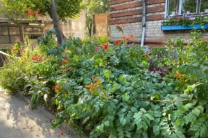 Продаж двокімнатної квартири в Кам'янському, на вул. Дніпробудівська 31, район Дніпровський фото 2 Продаж двокімнатної квартири в Кам'янському, на вул. Дніпробудівська 31, район Дніпровський фото 2