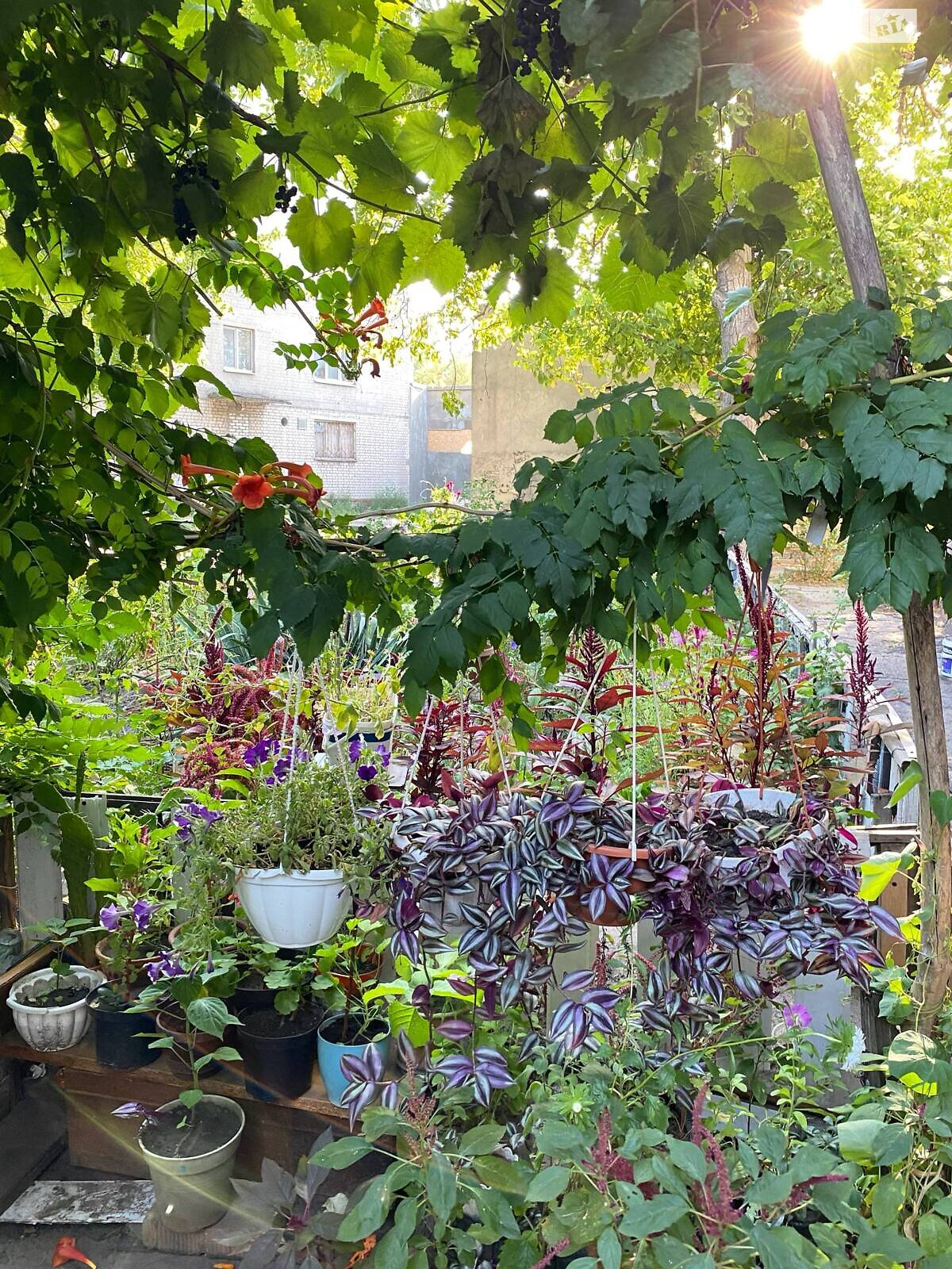 Продаж двокімнатної квартири в Кам'янському, на вул. Дніпробудівська 31, район Дніпровський фото 1 Продаж двокімнатної квартири в Кам'янському, на вул. Дніпробудівська 31, район Дніпровський фото 1