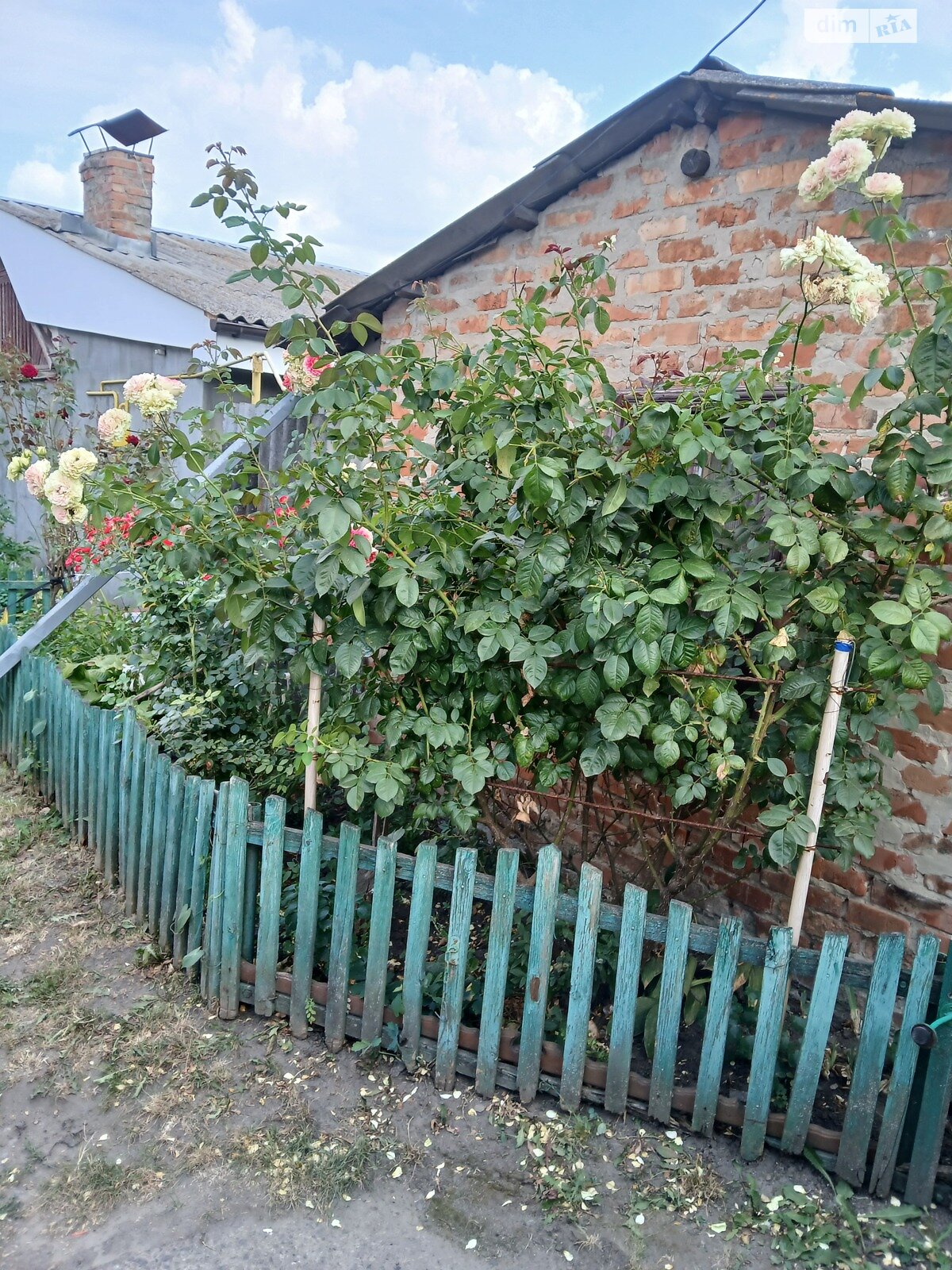 Продажа трехкомнатной квартиры в Казатине, на пер. Олега Ясинского 36, кв. 1, фото 1 Продажа трехкомнатной квартиры в Казатине, на пер. Олега Ясинского 36, кв. 1, фото 1