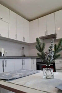 Продаж однокімнатної квартири в Києві, на вул. Березняківська 30А, район Березняки фото 2