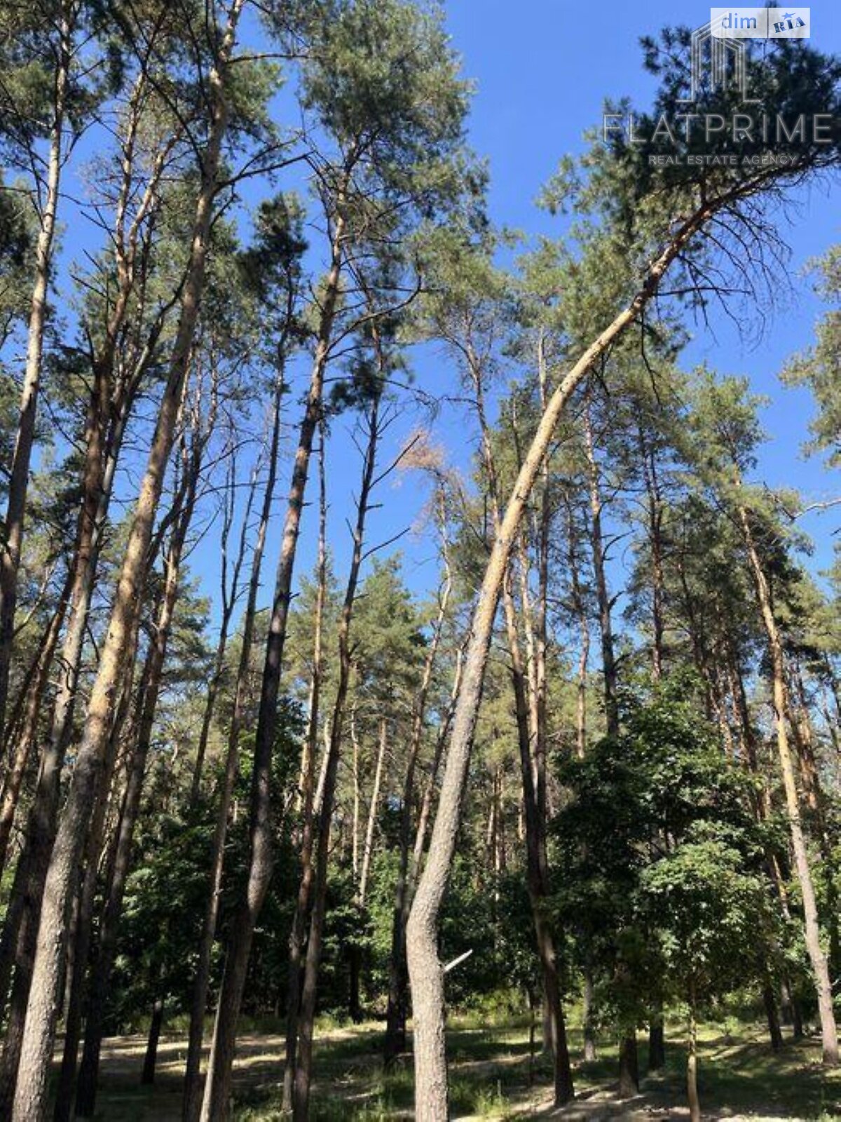 Продаж однокімнатної квартири в Києві, на вул. Світла 3Д корпус 3, район Бортничі фото 1