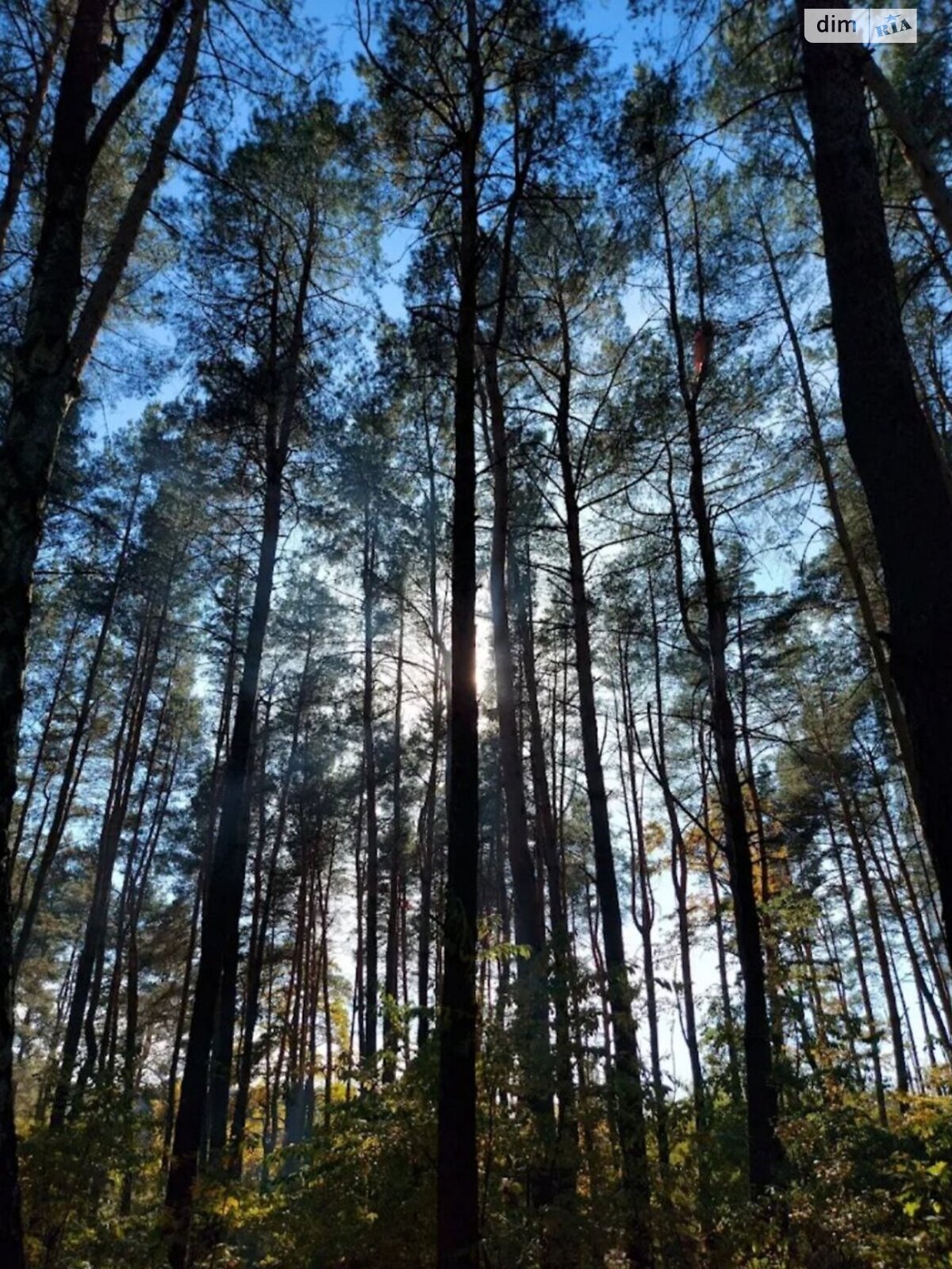 Продаж однокімнатної квартири в Києві, на вул. Світла 3Д, район Бортничі фото 1