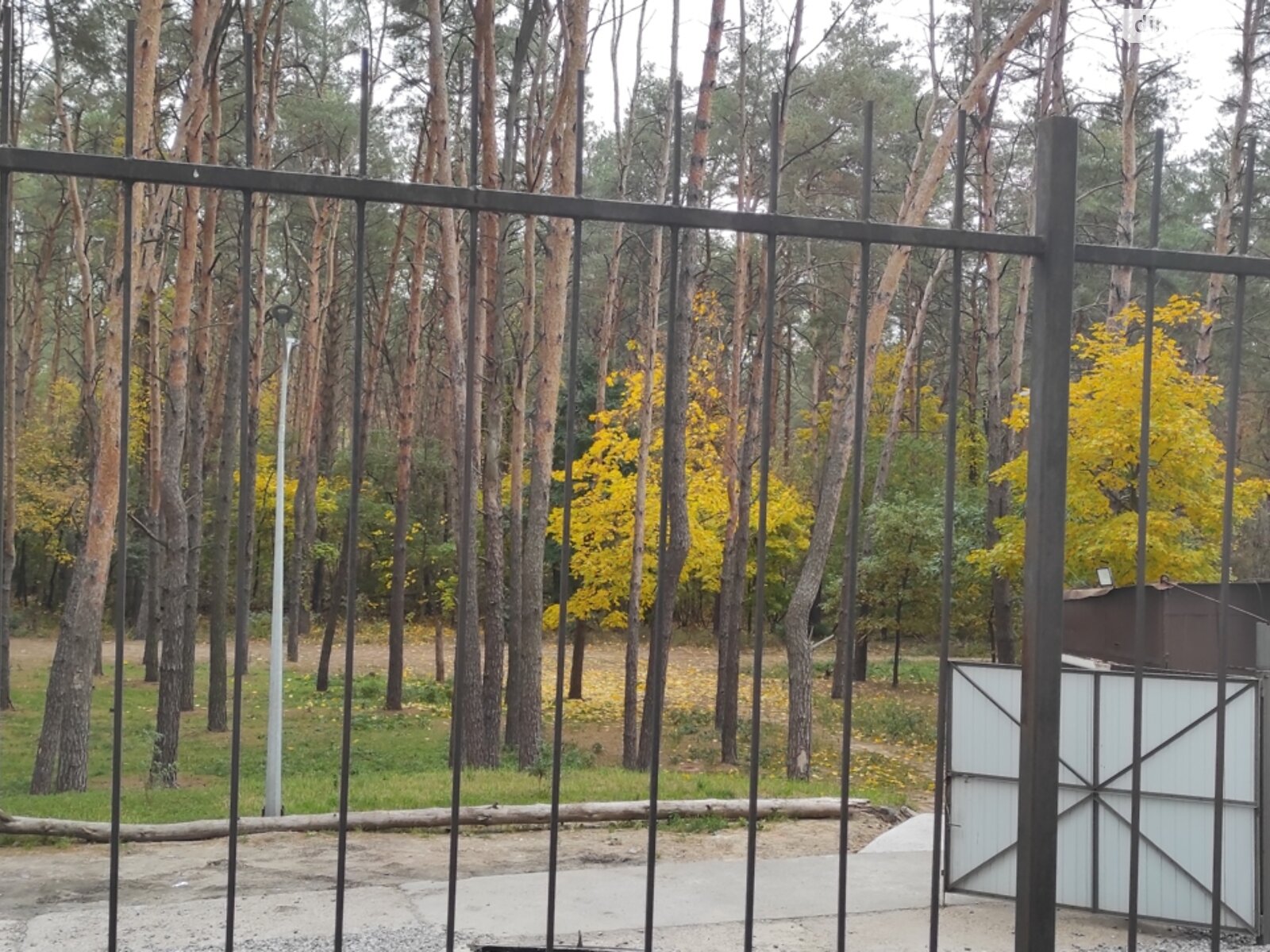 Продаж однокімнатної квартири в Києві, на вул. Світла 3Д, район Бортничі фото 1