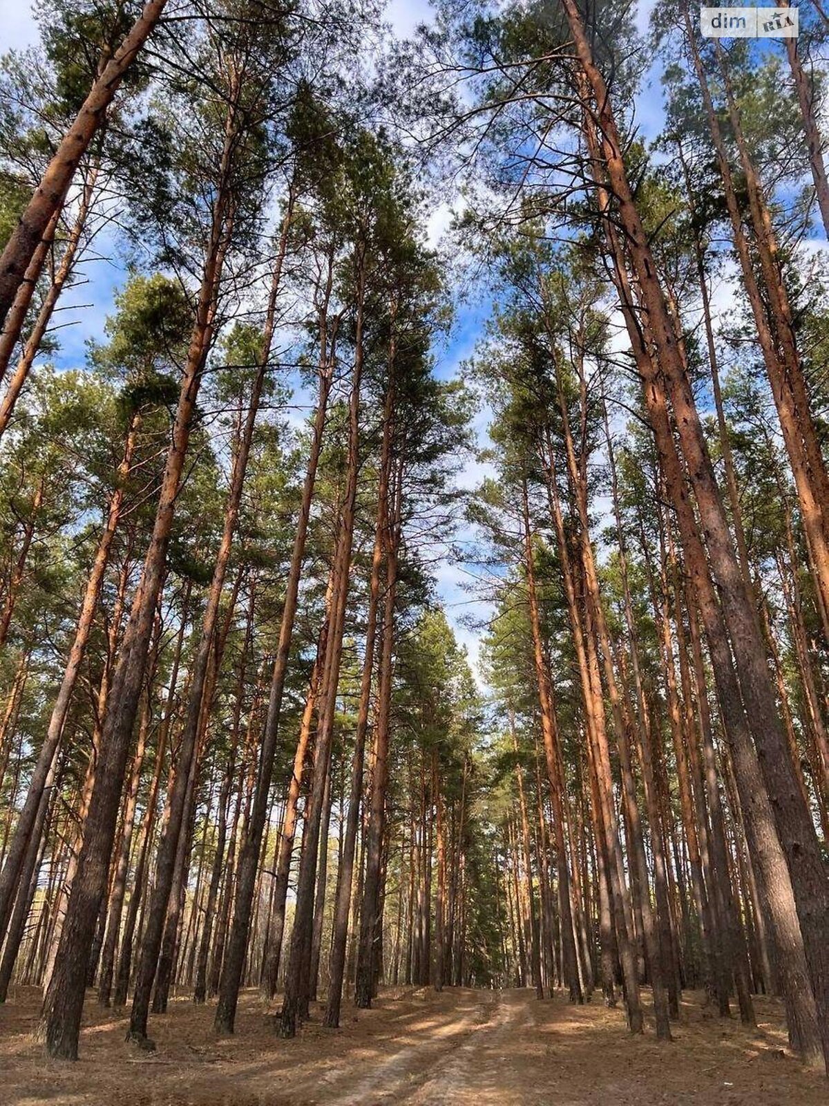 Продаж двокімнатної квартири в Києві, на пров. Радистів, район Биківня фото 1 Продаж двокімнатної квартири в Києві, на пров. Радистів, район Биківня фото 1