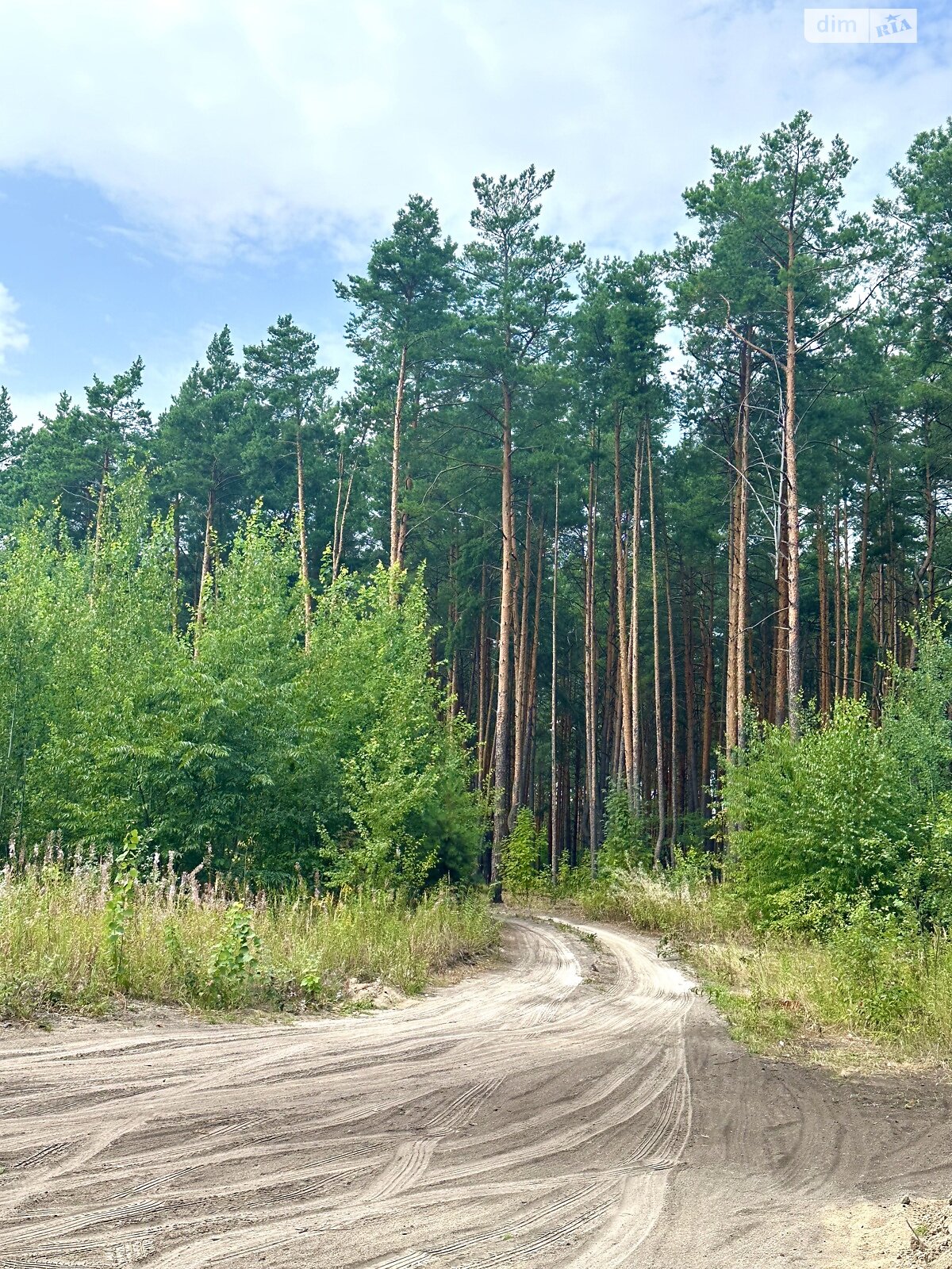 Продаж однокімнатної квартири в Києві, на пров. Сосновий 2, кв. 1, район Биківня фото 1 Продаж однокімнатної квартири в Києві, на пров. Сосновий 2, кв. 1, район Биківня фото 1