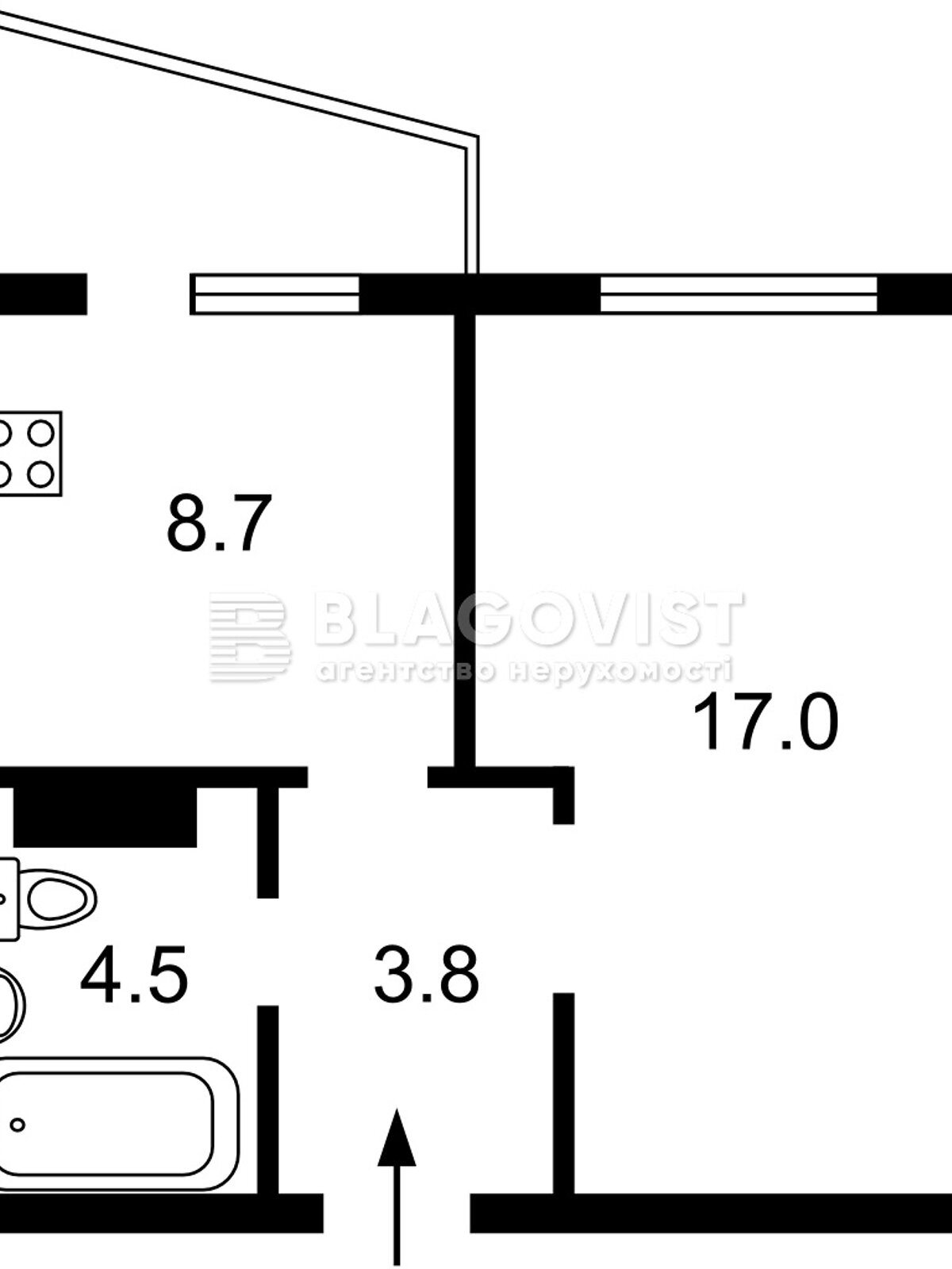 Продажа однокомнатной квартиры в Киеве, на ул. Бориса Гмыри 20, район Дарницкий фото 1