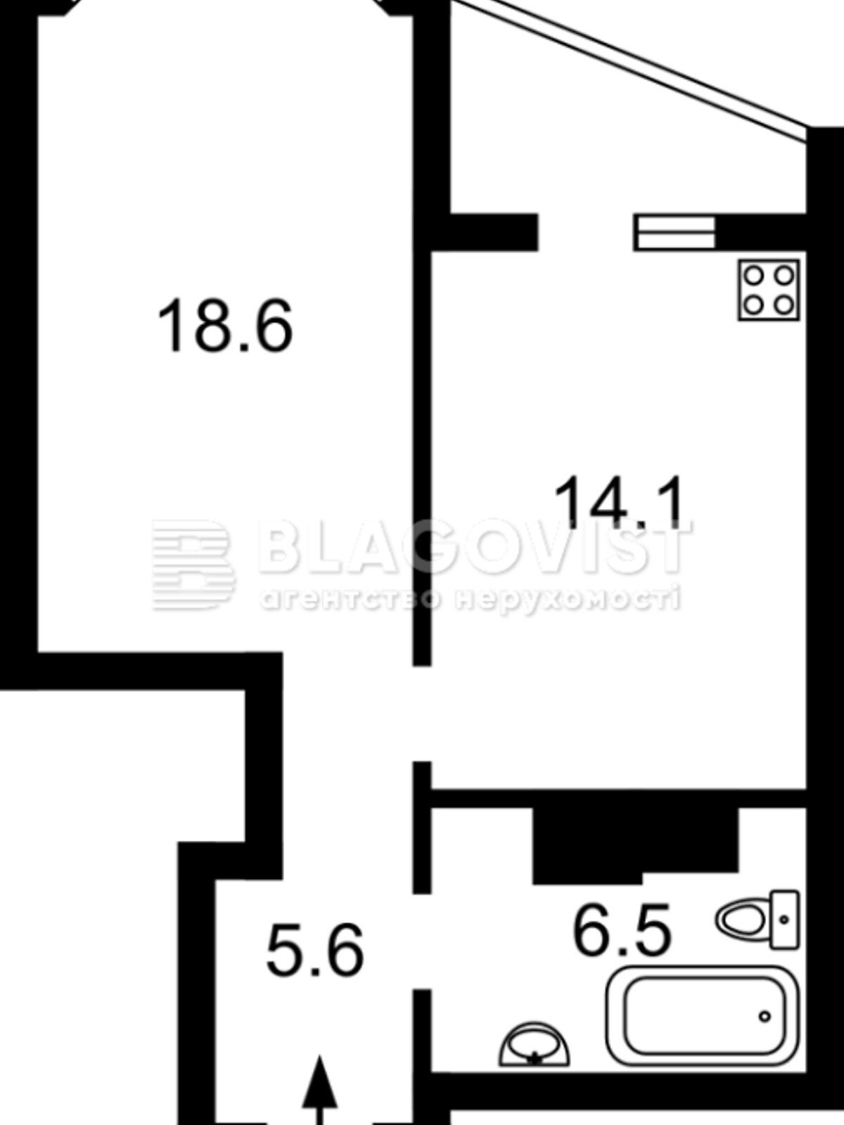 Продажа однокомнатной квартиры в Киеве, на ул. Драгоманова 4А, район Дарницкий фото 1