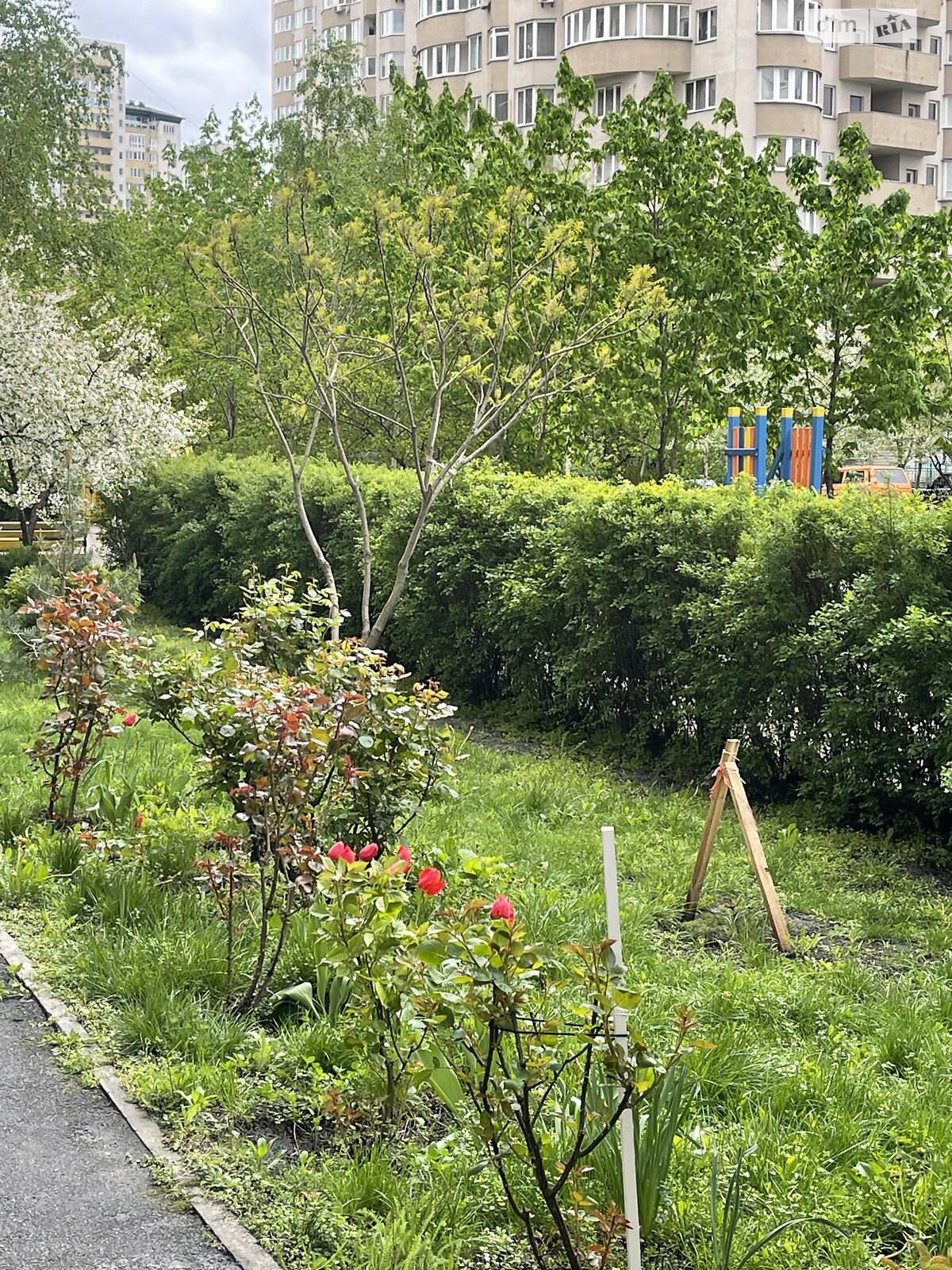 Продажа двухкомнатной квартиры в Киеве, на ул. Урловская 38, район Дарницкий фото 1 Продажа двухкомнатной квартиры в Киеве, на ул. Урловская 38, район Дарницкий фото 1