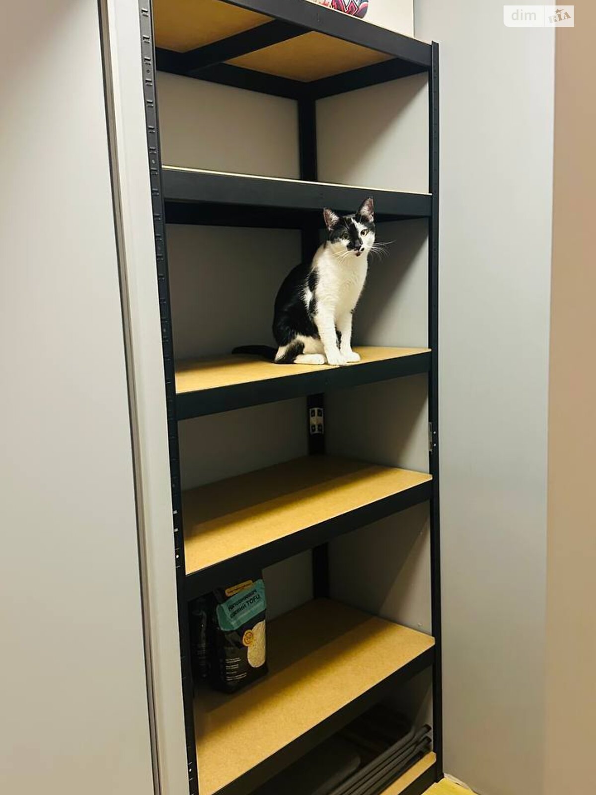 Продажа двухкомнатной квартиры в Киеве, на ул. Заречная, район Дарницкий фото 1