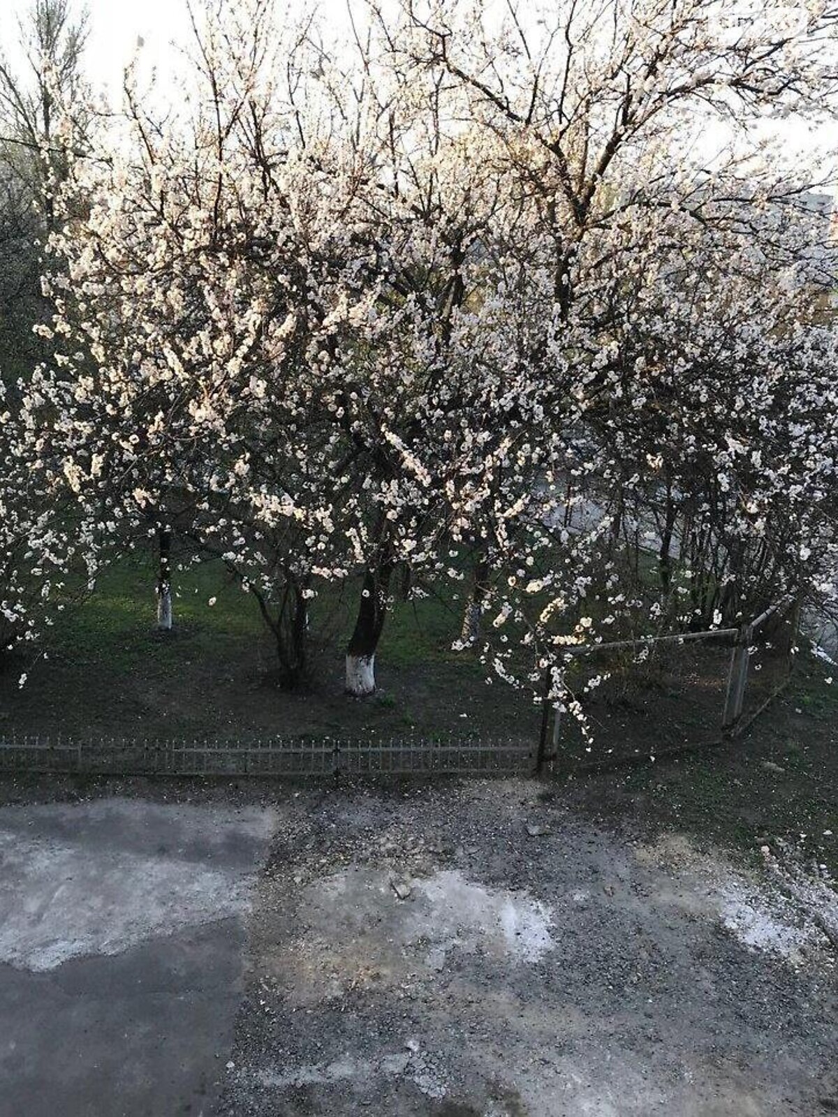 Продаж двокімнатної квартири в Києві, на вул. Костанайська 8 корпус 1, район Деміївка фото 1 Продаж двокімнатної квартири в Києві, на вул. Костанайська 8 корпус 1, район Деміївка фото 1