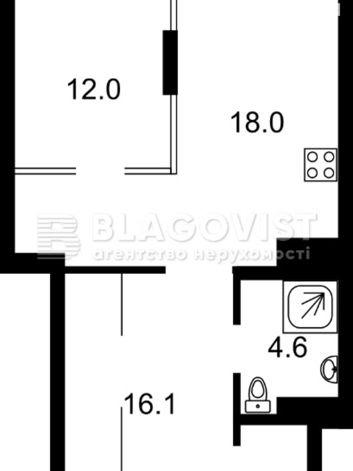 Продажа однокомнатной квартиры в Киеве, на ул. Антоновича 109, район Голосеевский фото 1