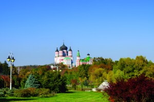 Продаж однокімнатної квартири в Києві, на вул. Метрологічна 107, район Голосіївський фото 2