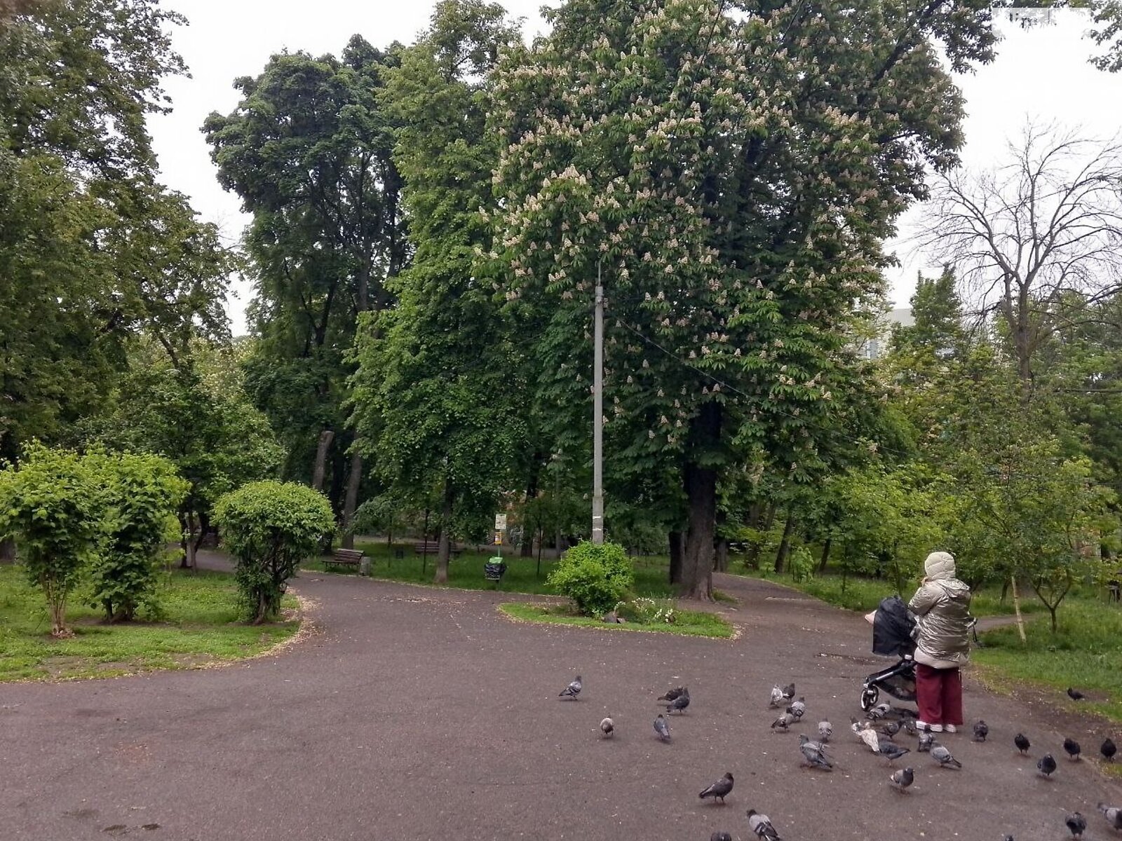 Продажа двухкомнатной квартиры в Киеве, на ул. Владимира Винниченко 20, район Кудрявец фото 1 Продажа двухкомнатной квартиры в Киеве, на ул. Владимира Винниченко 20, район Кудрявец фото 1
