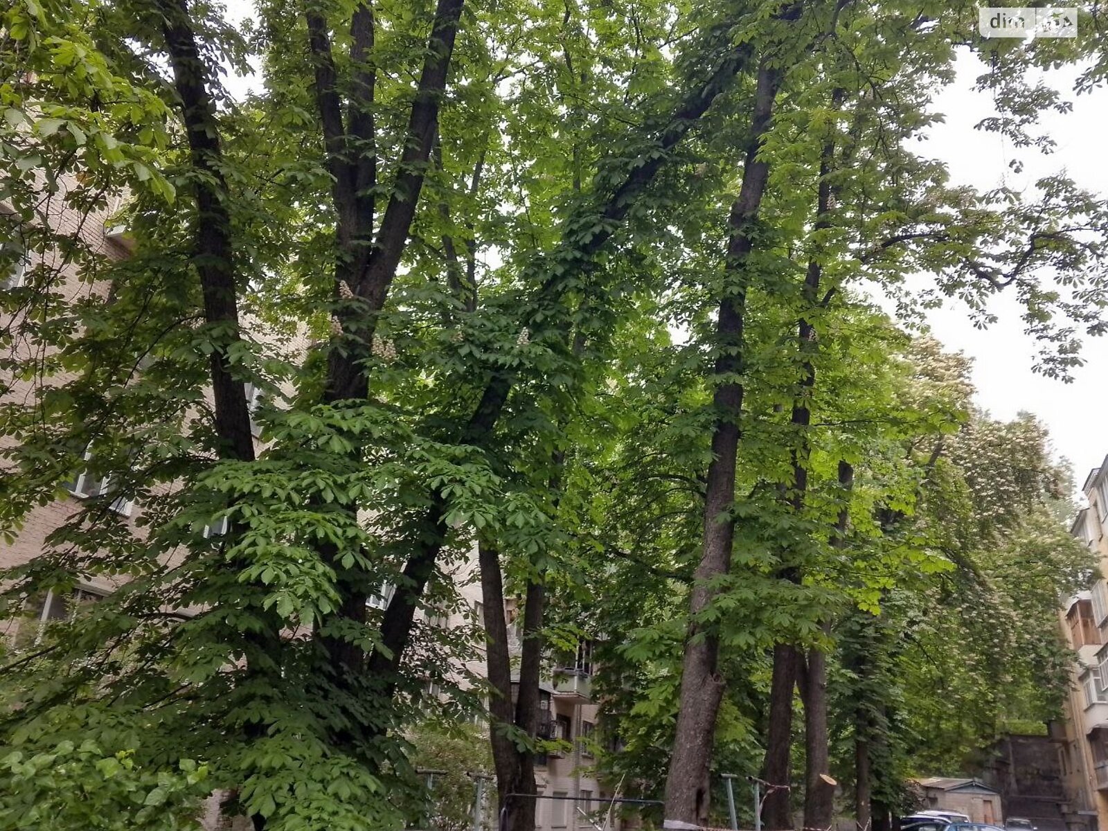 Продажа двухкомнатной квартиры в Киеве, на ул. Владимира Винниченко 20, район Кудрявец фото 1 Продажа двухкомнатной квартиры в Киеве, на ул. Владимира Винниченко 20, район Кудрявец фото 1