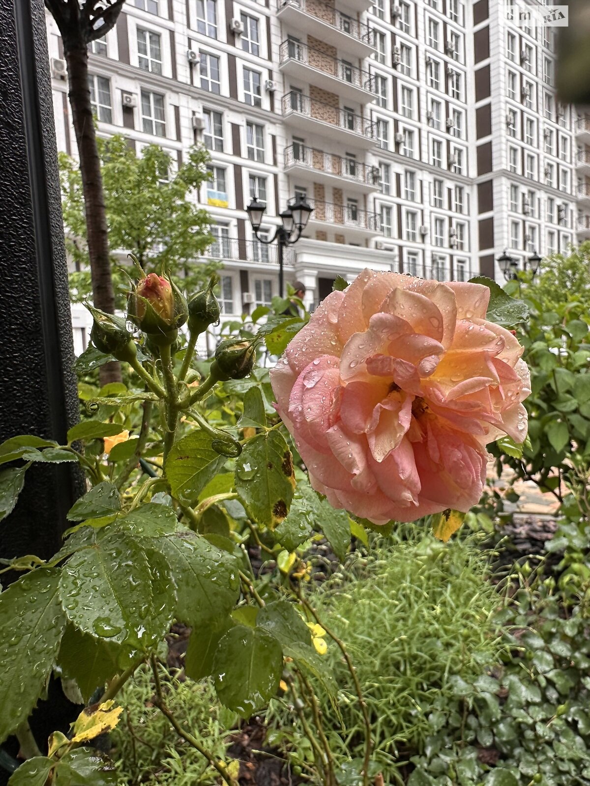 Продажа двухкомнатной квартиры в Киеве, на ул. Михаила Максимовича 24В, фото 1 Продажа двухкомнатной квартиры в Киеве, на ул. Михаила Максимовича 24В, фото 1