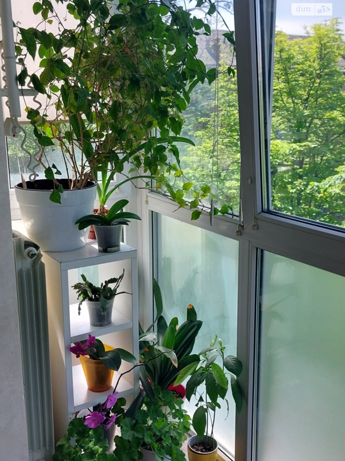 Продажа трехкомнатной квартиры в Киеве, на бул. Павла Вирского 45, район Нивки фото 1 Продажа трехкомнатной квартиры в Киеве, на бул. Павла Вирского 45, район Нивки фото 1