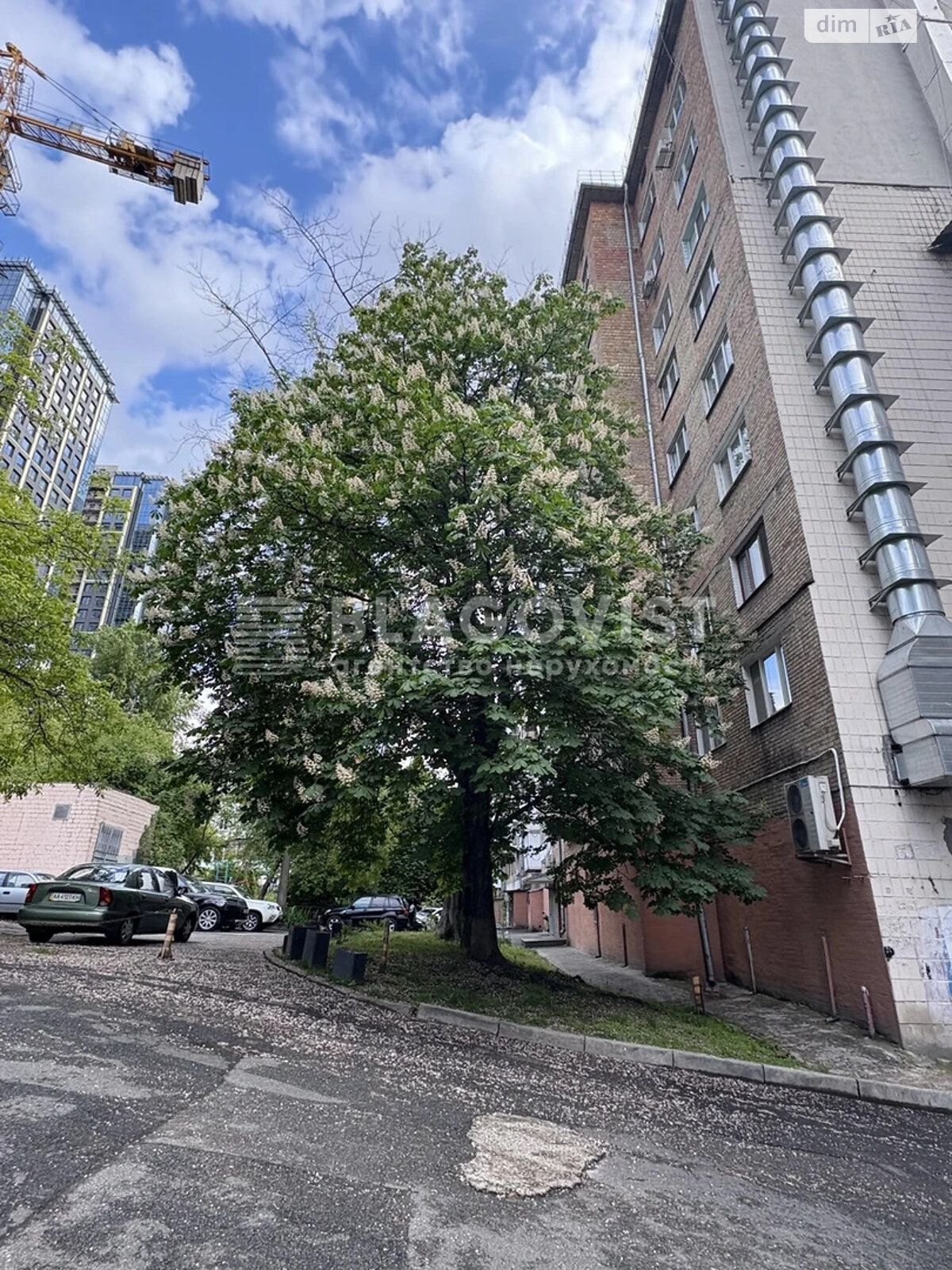Продажа двухкомнатной квартиры в Киеве, на ул. Большая Васильковская 81, район Новое строение фото 1 Продажа двухкомнатной квартиры в Киеве, на ул. Большая Васильковская 81, район Новое строение фото 1
