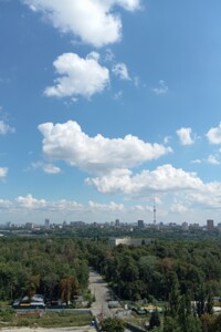 Продажа однокомнатной квартиры в Киеве, на ул. Виктора Некрасова 10, район Подольский фото 2