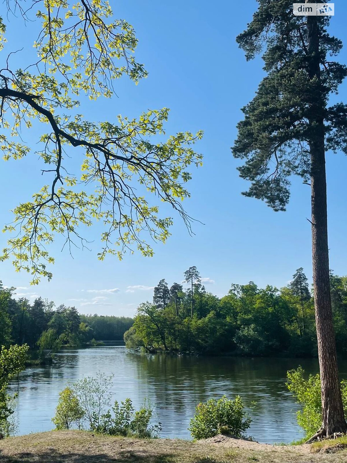 Продажа однокомнатной квартиры в Киеве, на ул. Квитки Цисык 32, район Пуща-Водица фото 1