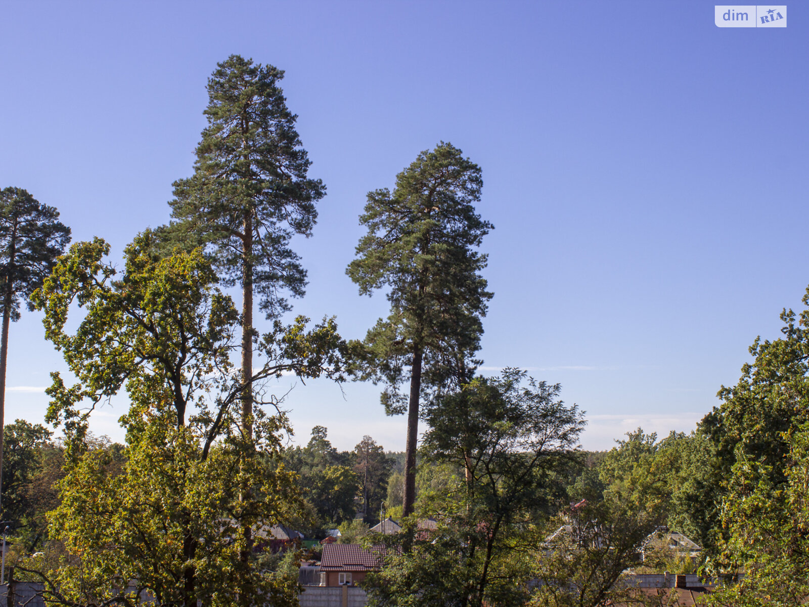 Продажа однокомнатной квартиры в Киеве, на ул. Квитки Цисык 32, район Пуща-Водица фото 1