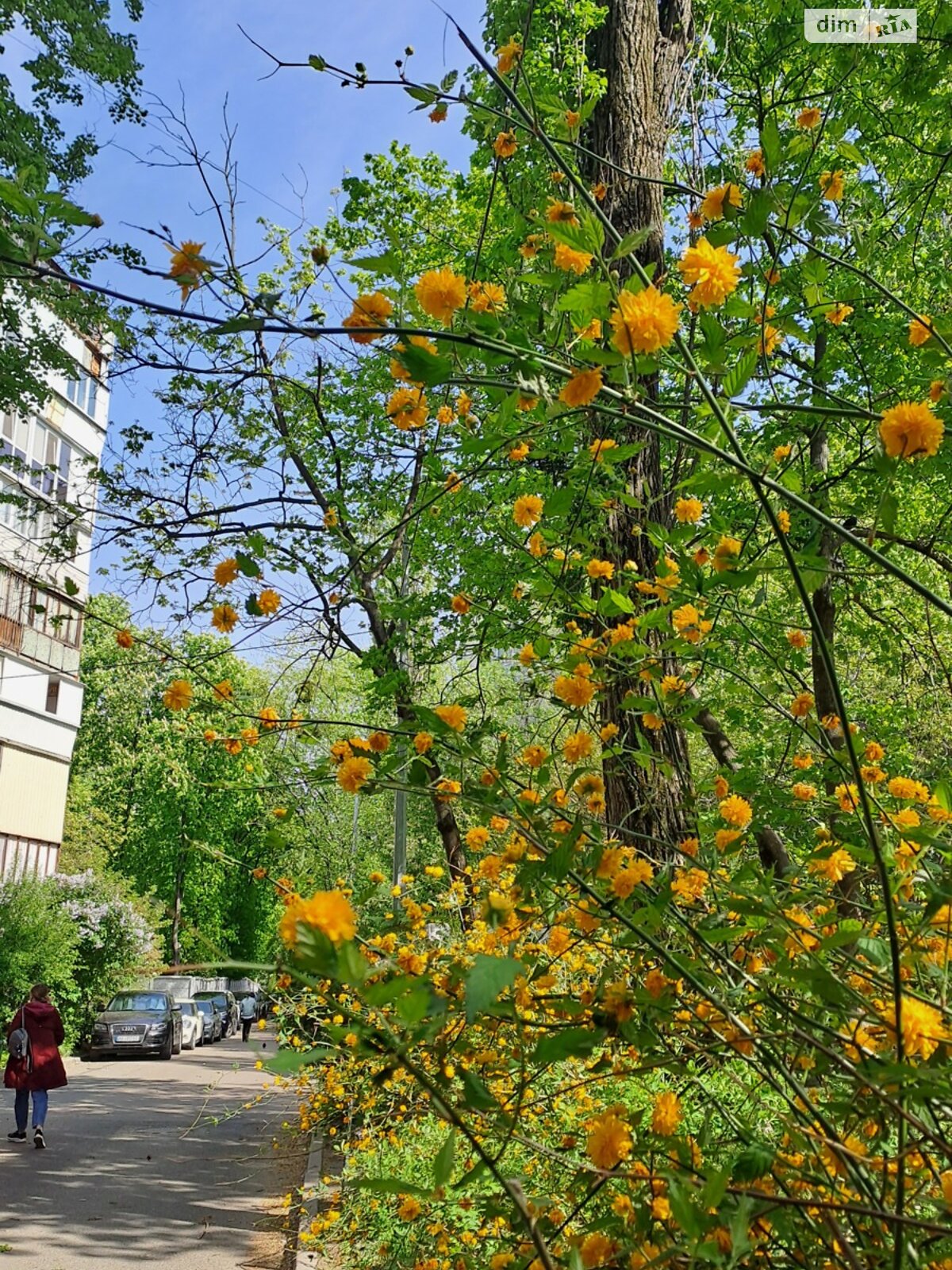 Продажа трехкомнатной квартиры в Киеве, на ул. Борщаговская 8, район Шулявка фото 1 Продажа трехкомнатной квартиры в Киеве, на ул. Борщаговская 8, район Шулявка фото 1