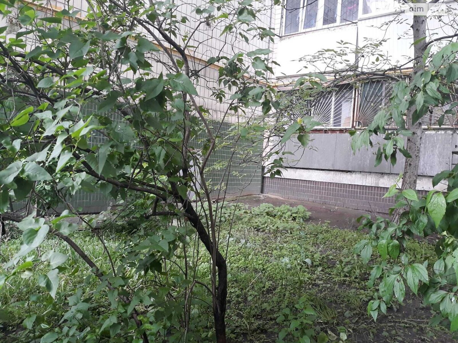 Продаж трикімнатної квартири в Києві, на вул. Шовкуненка 3, район Солом'янка фото 1 Продаж трикімнатної квартири в Києві, на вул. Шовкуненка 3, район Солом'янка фото 1