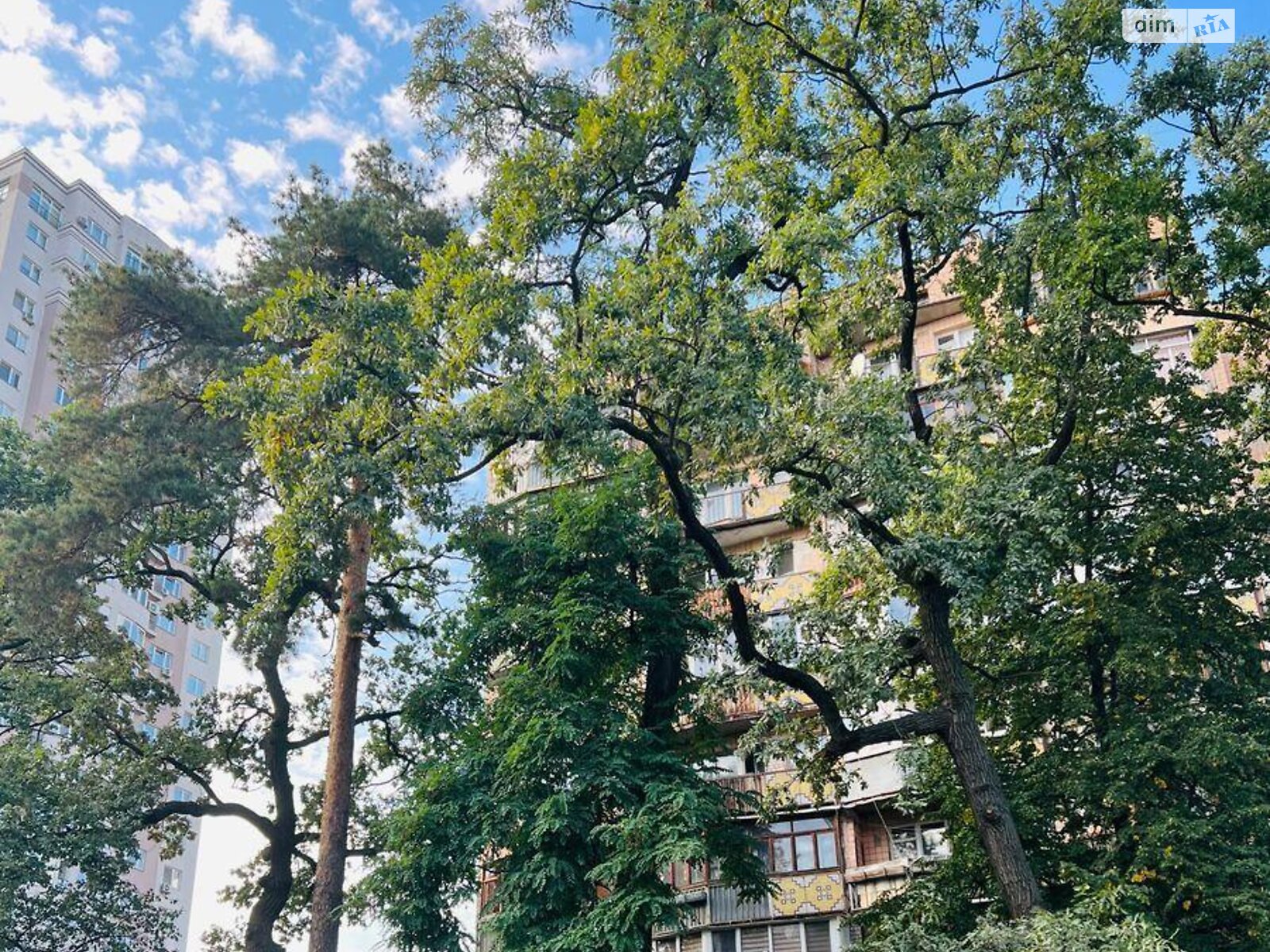 Продаж однокімнатної квартири в Києві, на вул. Львівська 24, район Святошин фото 1 Продаж однокімнатної квартири в Києві, на вул. Львівська 24, район Святошин фото 1