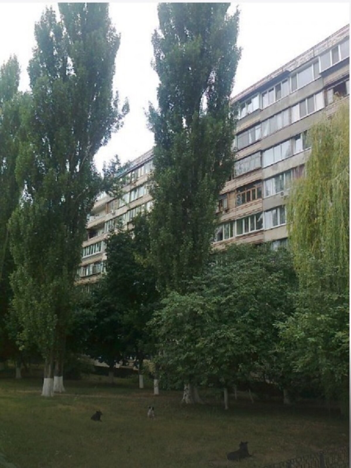 Продаж однокімнатної квартири в Києві, на вул. Олега Мудрака 21/5, район Святошинський фото 1 Продаж однокімнатної квартири в Києві, на вул. Олега Мудрака 21/5, район Святошинський фото 1