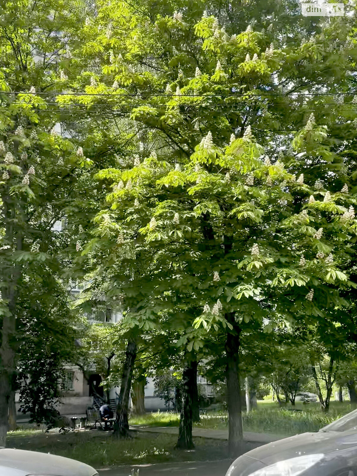 Продаж трикімнатної квартири в Києві, на просп. Академіка Глушкова 18, район Теремки-1 фото 1 Продаж трикімнатної квартири в Києві, на просп. Академіка Глушкова 18, район Теремки-1 фото 1