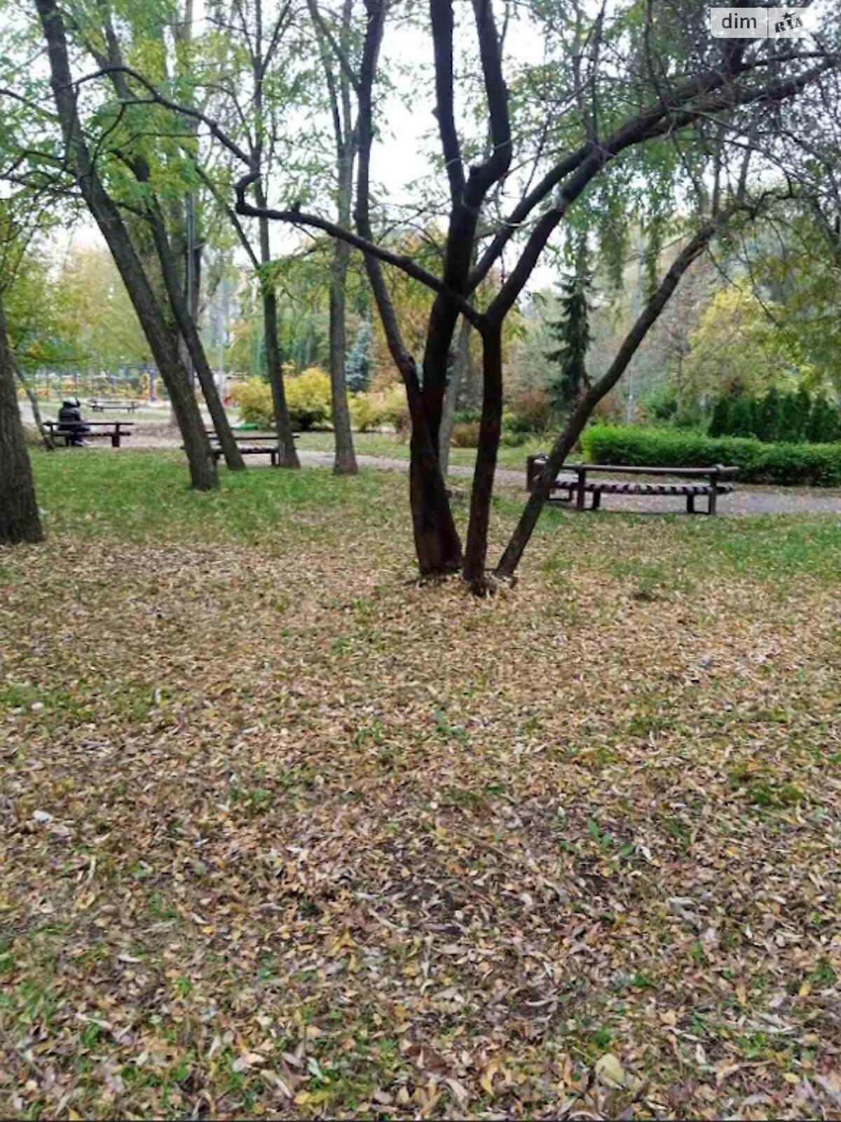 Продажа однокомнатной квартиры в Киеве, на ул. Теремковская 2Г, район Теремки-1 фото 1 Продажа однокомнатной квартиры в Киеве, на ул. Теремковская 2Г, район Теремки-1 фото 1