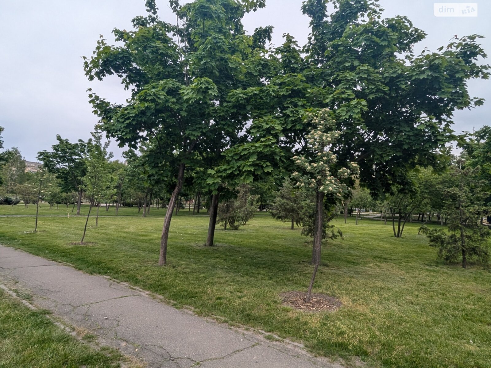 Продажа двухкомнатной квартиры в Киеве, на ул. Архитектора Николаева 3А, район Троещина фото 1 Продажа двухкомнатной квартиры в Киеве, на ул. Архитектора Николаева 3А, район Троещина фото 1