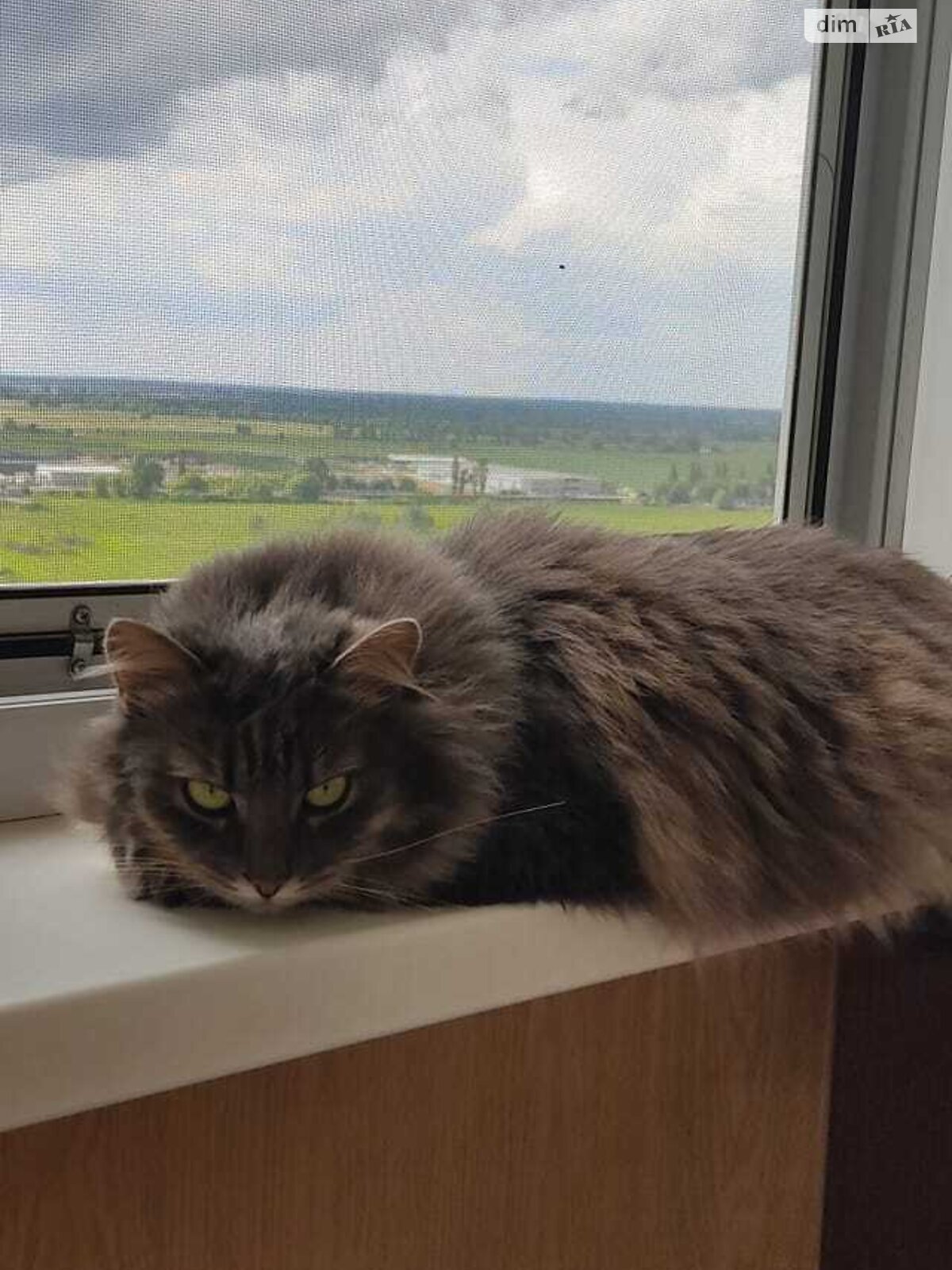 Продажа трехкомнатной квартиры в Киеве, на ул. Милославская 4, район Троещина фото 1 Продажа трехкомнатной квартиры в Киеве, на ул. Милославская 4, район Троещина фото 1