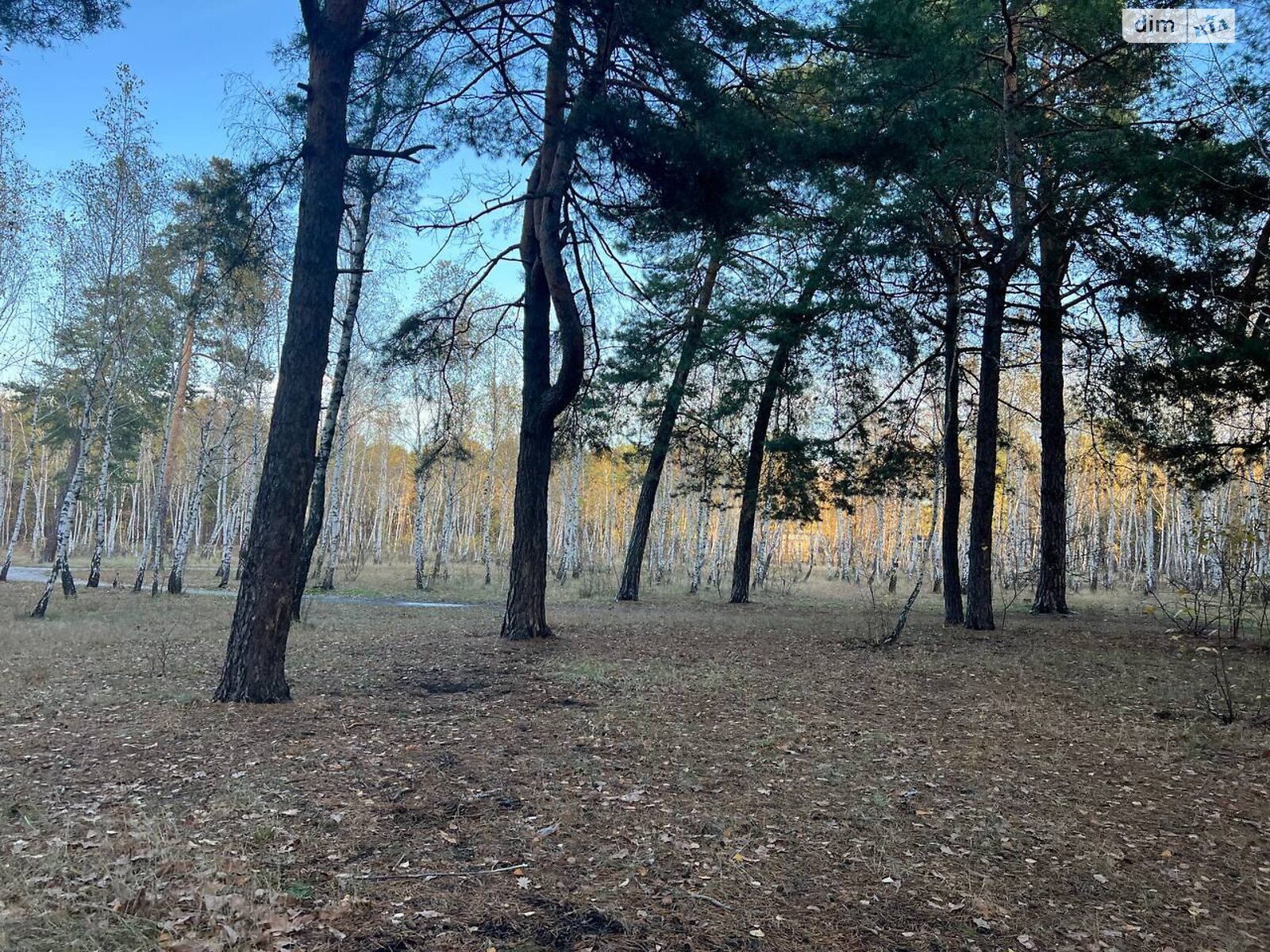 Продажа трехкомнатной квартиры в Киеве, на ул. Петра Запорожца 11, район Воскресенка фото 1