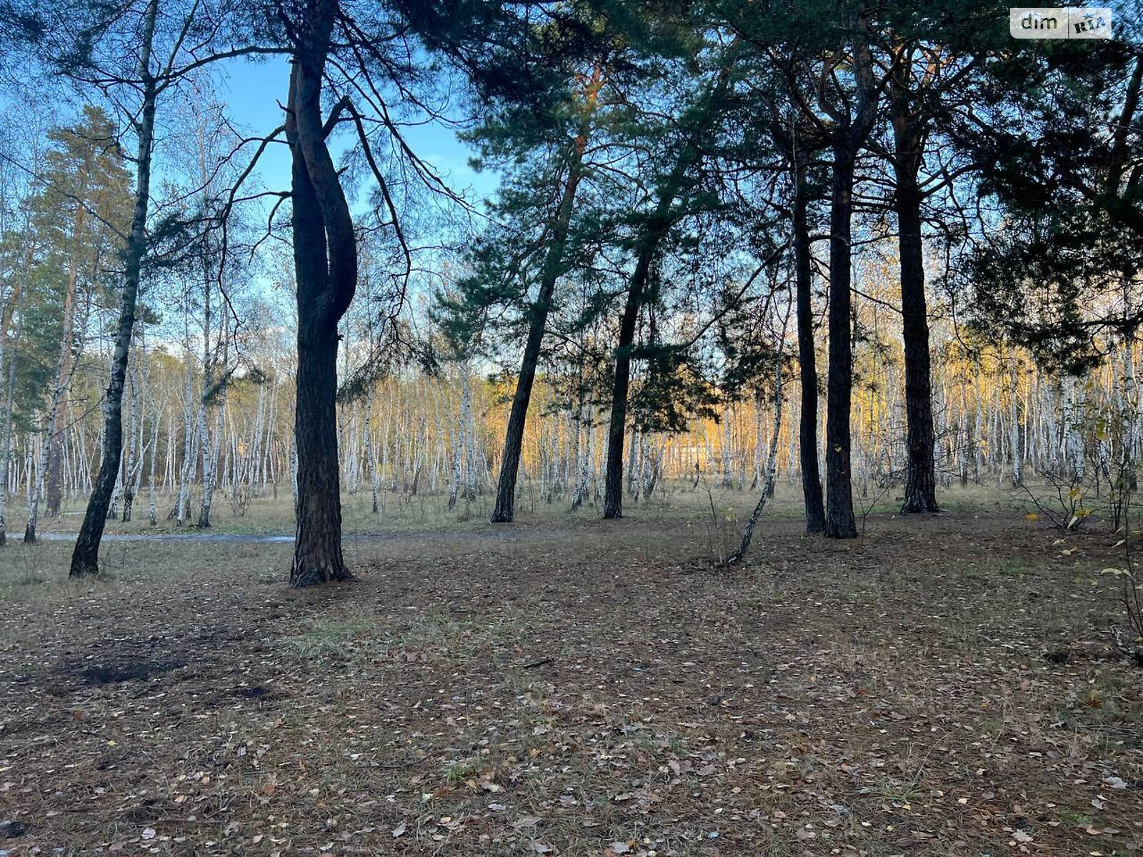 Продажа трехкомнатной квартиры в Киеве, на ул. Петра Запорожца 11, район Воскресенка фото 1