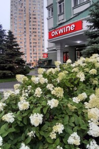 Продаж двокімнатної квартири в Києві, на вул. Воскресенська 12В, район Воскресенка фото 2