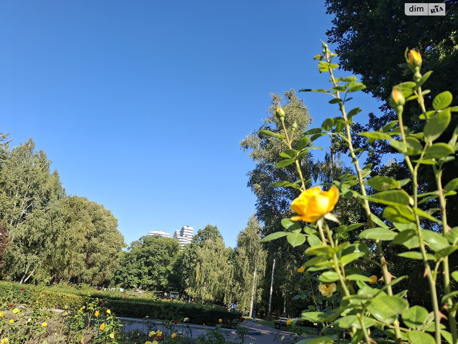 Продаж однокімнатної квартири в Києві, на вул. Воскресенська 2В, район Дніпровський фото 1