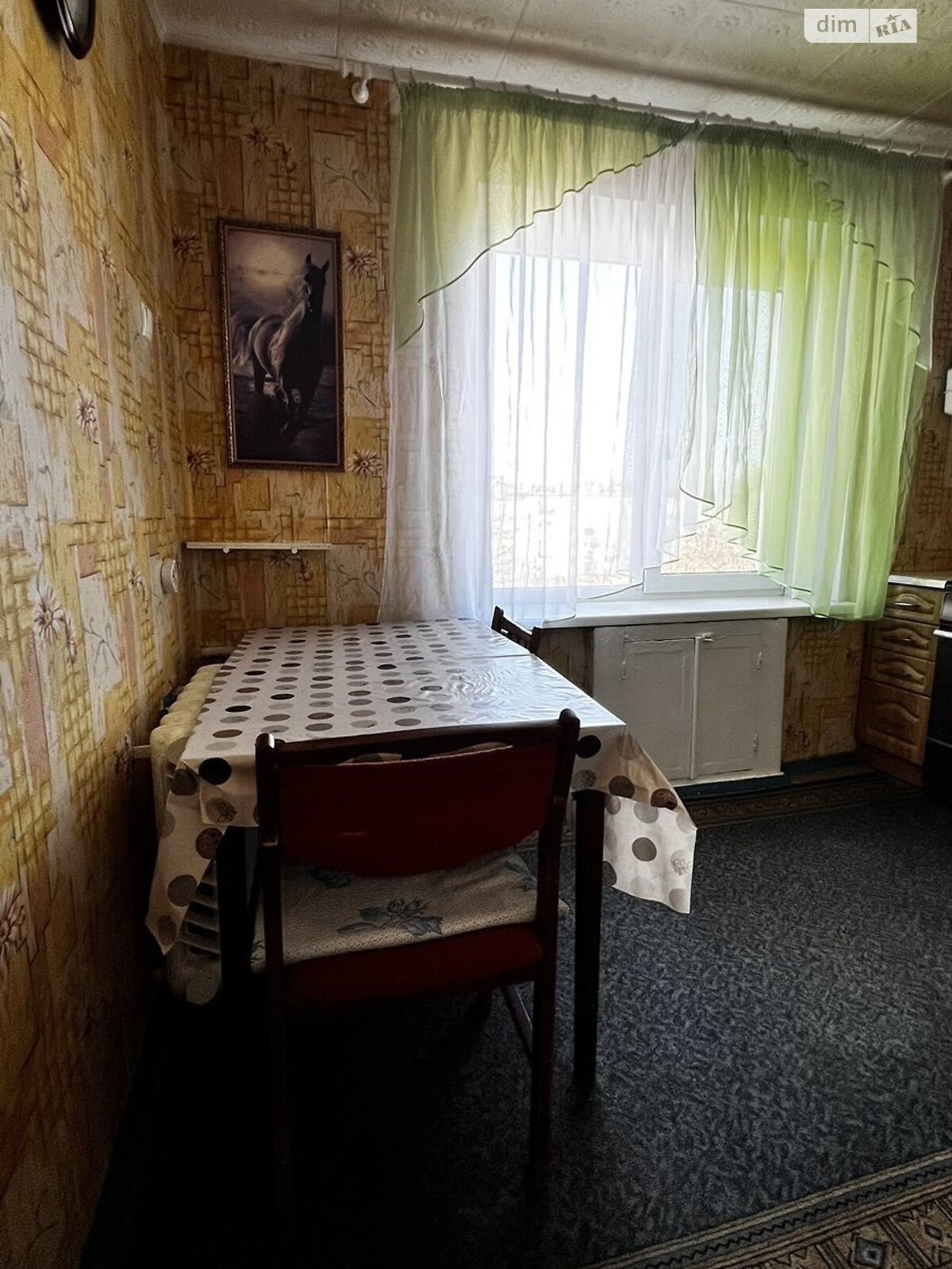 Продажа однокомнатной квартиры в Кривом Роге, на ул. Спасская 19, район Саксаганский фото 1